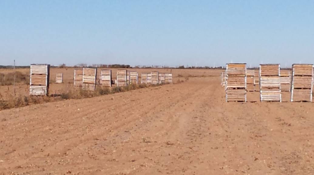 Img.1|fig.1|fig.2|fig.3|fig.4|fig.5|fig.6|fig.7|fig.8|fig.9|fig.10